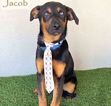 Photo of Jacob