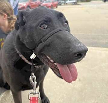 Photo of Oakley