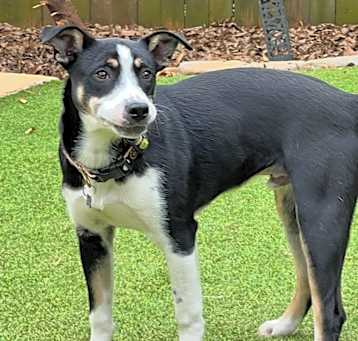 Photo of Wally