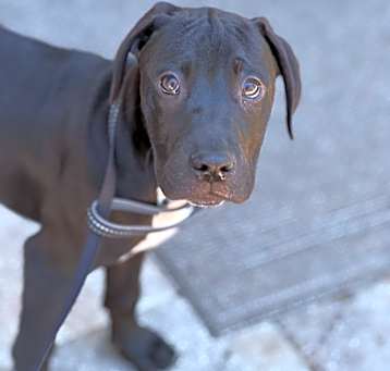 Photo of Masuka
