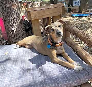 Photo of Kima