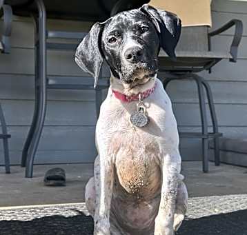 Photo of Luna