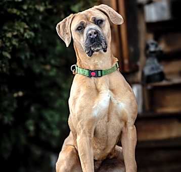 Photo of Queen