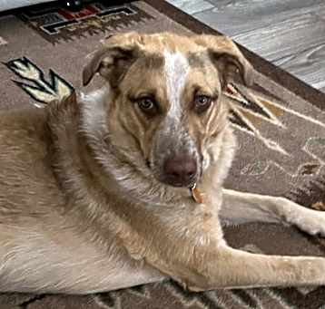 Photo of Bea