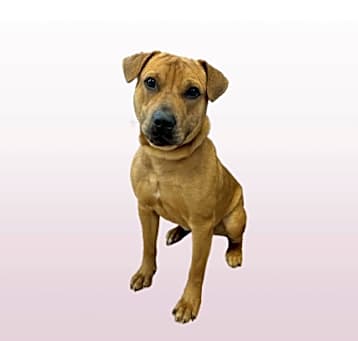 Photo of Goop