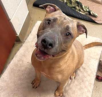 Photo of Twix
