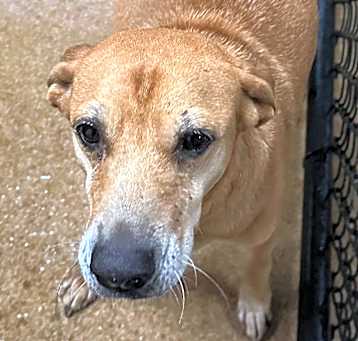 Photo of Charity
