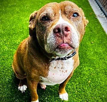 Photo of Lenny