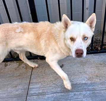 Photo of Baxter