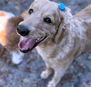 Photo of Winnie