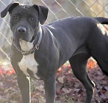 Photo of Inky