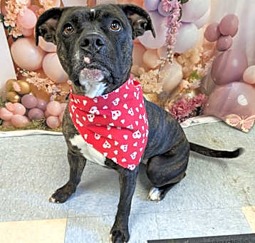 Photo of Hazel Marie
