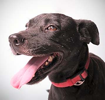 Photo of Jonas