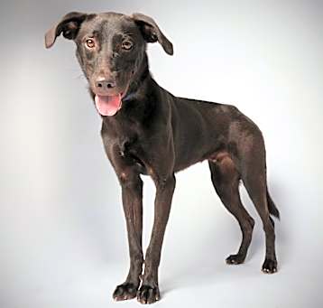 Photo of Remington