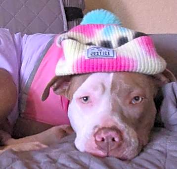 Photo of Daisy Duke
