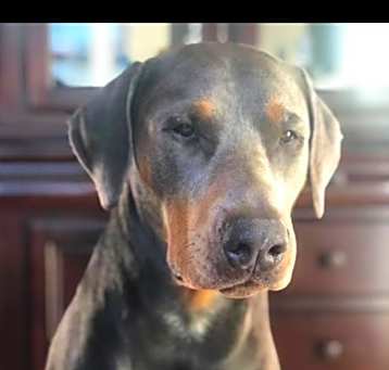 Photo of Famoso