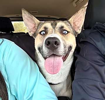 Photo of Cass