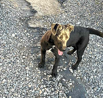 Photo of Sweet Girl