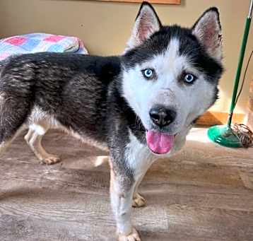 Photo of Yukon
