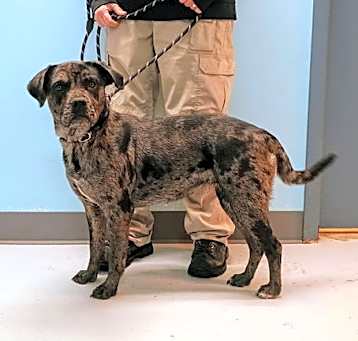 Photo of SADIE #10134
