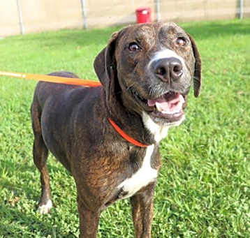 Photo of ROXY