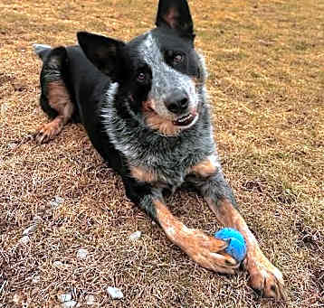 Photo of Paco