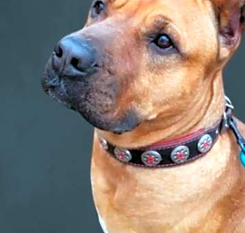 Photo of RUBY
