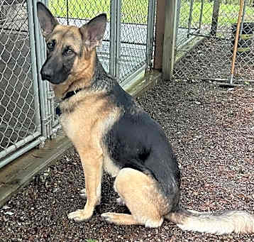 Photo of FRITZ