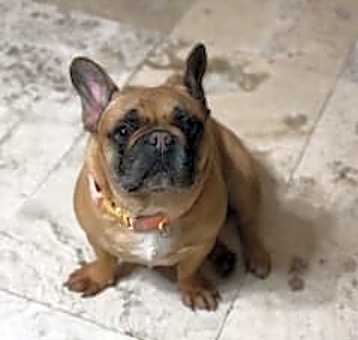 Photo of Katie