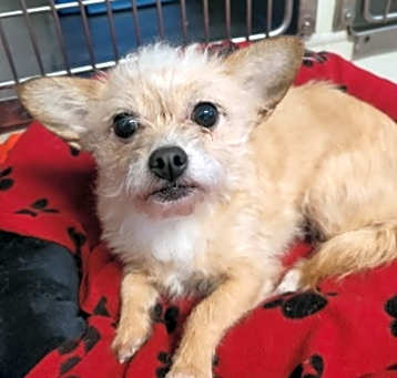 Photo of Delilah