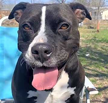 Photo of ROXY