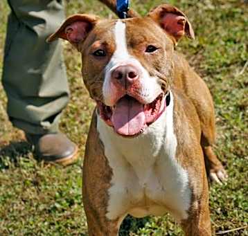 Photo of JESSIE