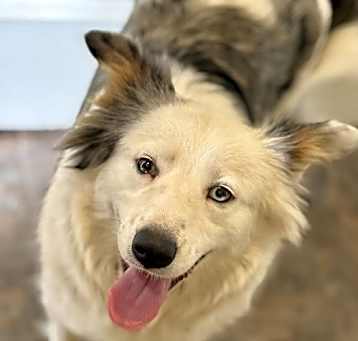 Photo of maggie