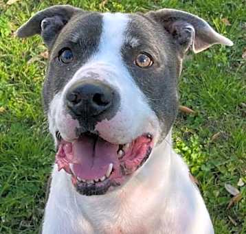 Photo of ODIN