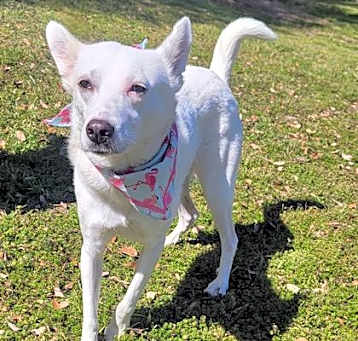 Photo of Willow Mae