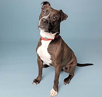 Photo of Jaxx