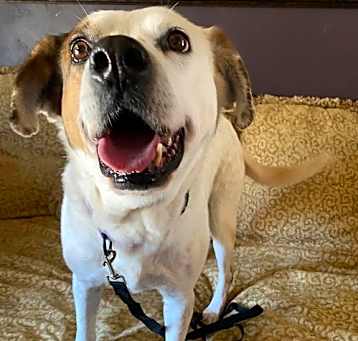 Photo of Waylon