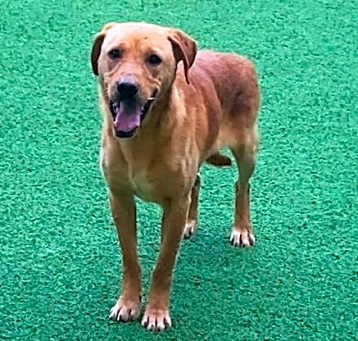 Photo of Cajun