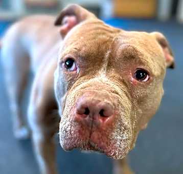 Photo of Nala Jean