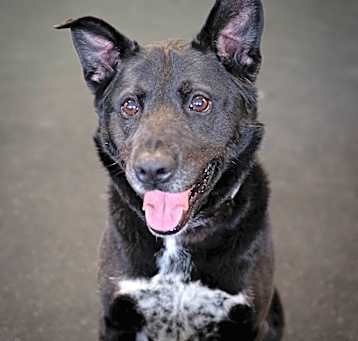 Photo of Diamond