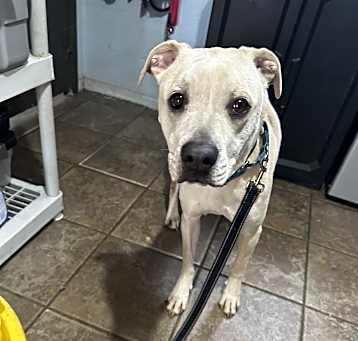 Photo of Luna