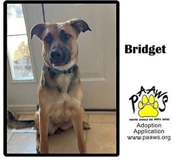 Photo of Bridget