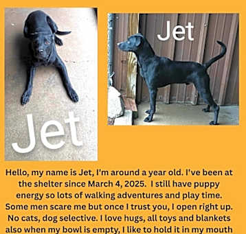 Photo of Jet