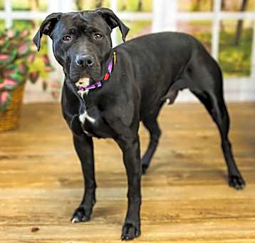 Photo of Amika (sponsored)