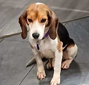 Photo of Stanley