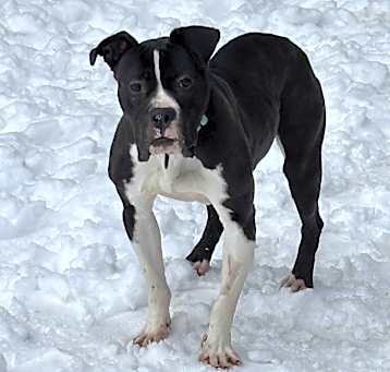 Photo of Bunky