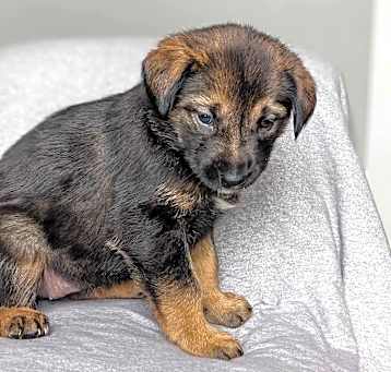 Photo of Kiwi