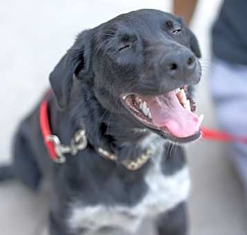 Photo of Brantley
