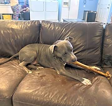 Photo of Mack