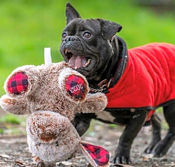 Photo of Jethro